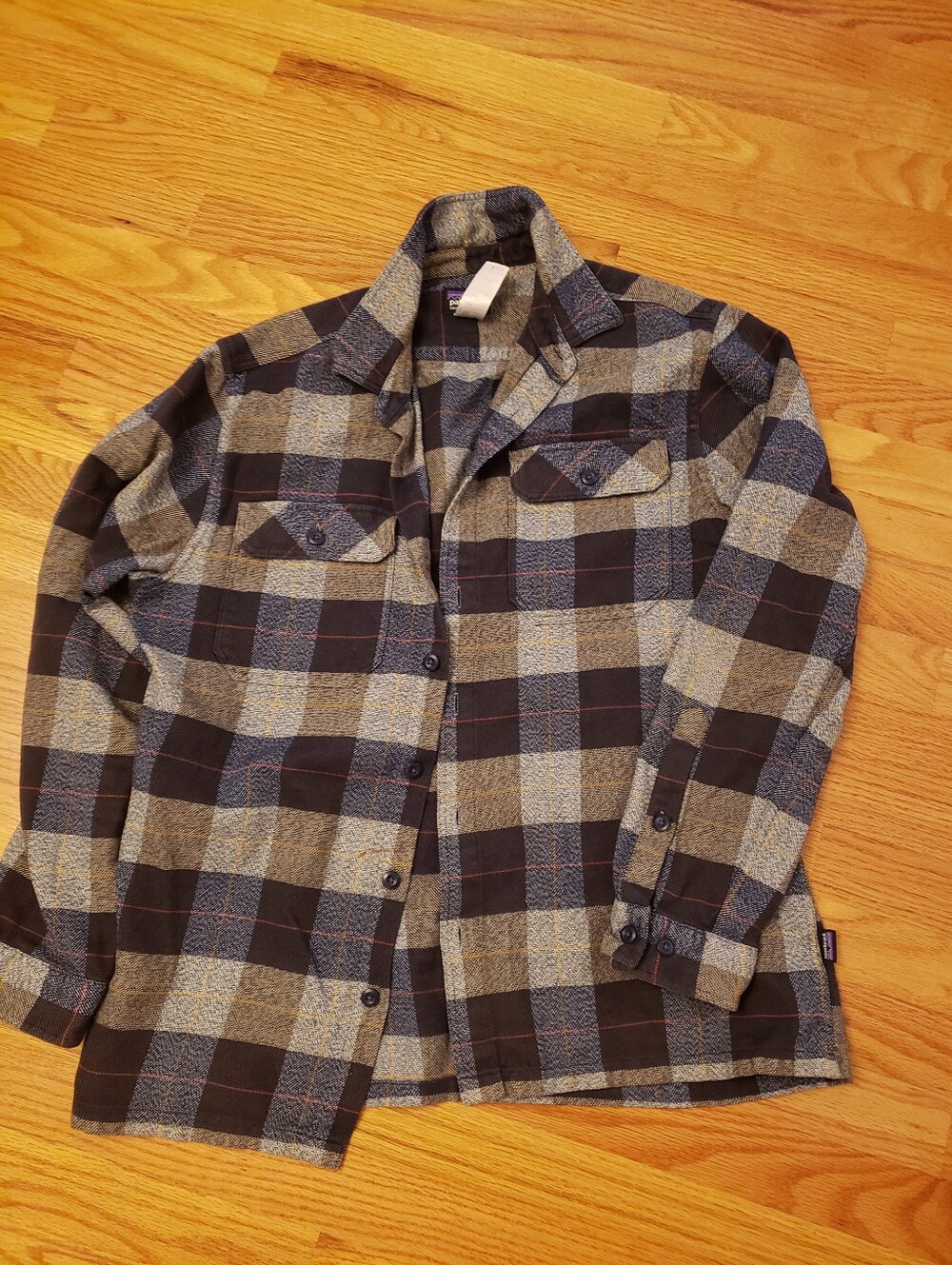 Patagonia button Down